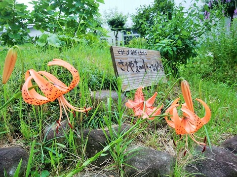 67361838_2405636569713089_3341165135275229184_n