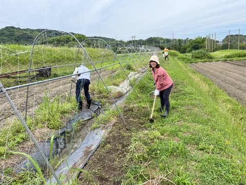 DD595453-1981-43BE-B614-CBE954499E13