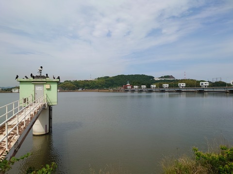 芦田川