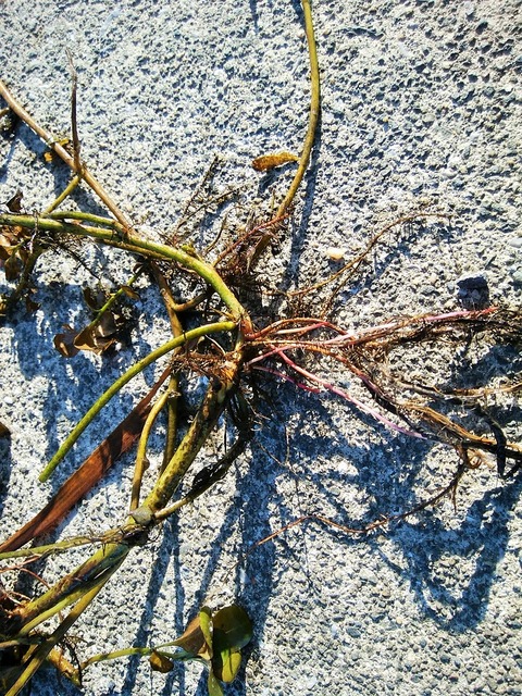 131949695_2879727378970670_1376156422340944275_o