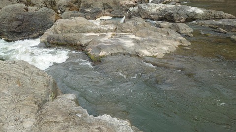 20220605水質調査(闘龍灘)