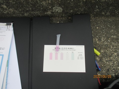 2022.6.5:水質調査ー3