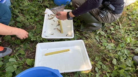 LINE_ALBUM_20250713庭窪ワンド_250713_1