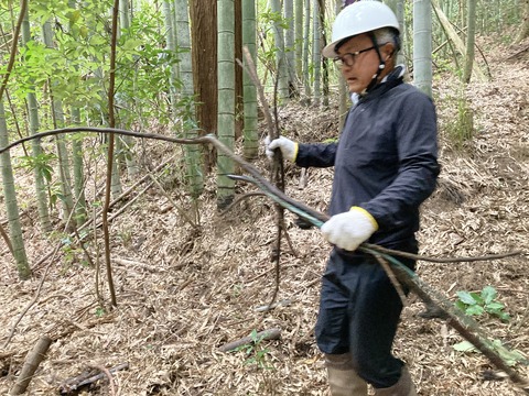 3C027FCF-CBA8-4B8C-BE34-185B737D8F54