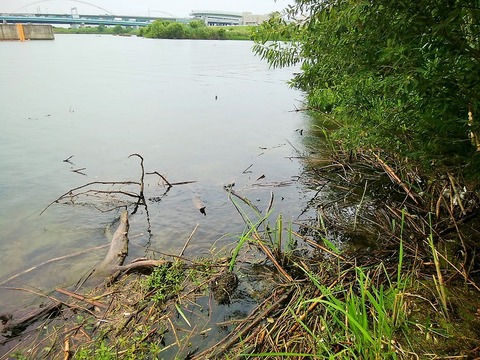 IMG_20190713_153528-1