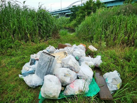 IMG_20190713_152533-1