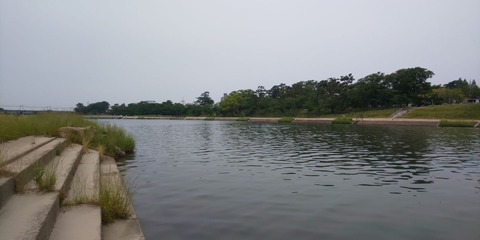190602 岡崎市乙川河川緑地(下流側)DSC_0123-1