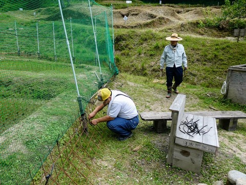 64724630_2311654802247235_6224756068426186752_n