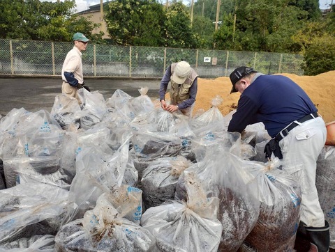 LINE_ALBUM_20251019_251019_9