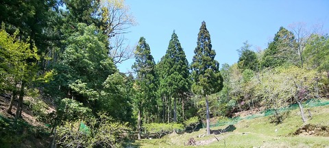 IMG_20200425_124530 (2)