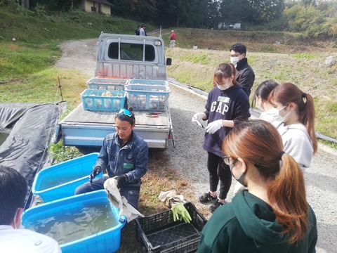 IMG_20211106_105415_gaSlqQ