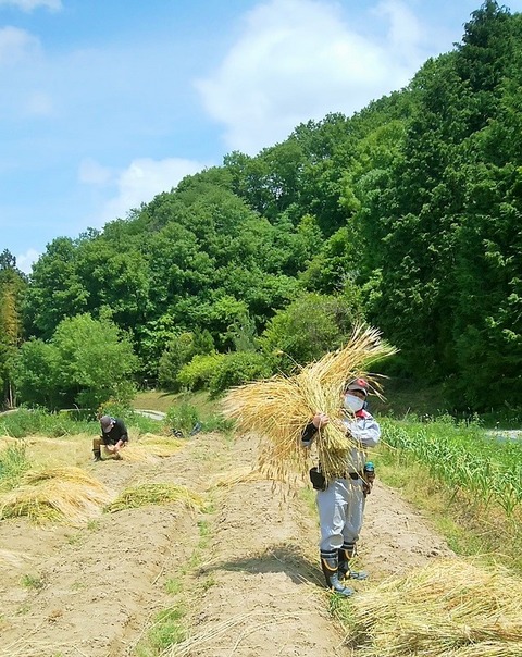 IMG_20210515_111619 (2)