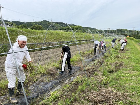 0416118B-4A2F-4470-B5EC-AD27326EB25D