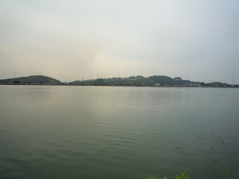 P1010446