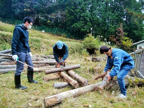 IMG_20201128_103904
