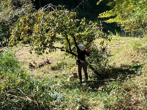 LINE_ALBUM_2022.10.15 穂谷活動_221015_7