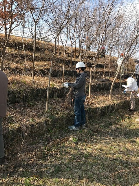 84510268_1074906489509330_3536679610026557440_o