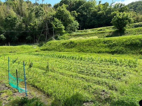 LINE_ALBUM_20230603_230603_0