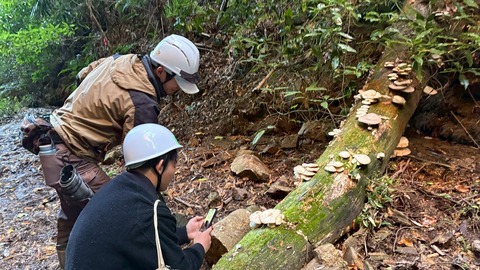 LINE_ALBUM_20251130竹林整備体験_251130_4