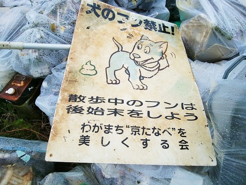 IMG_20190713_152524-1