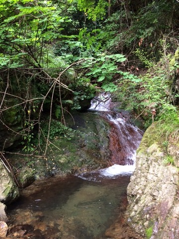 奥村川上流