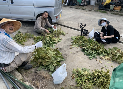 49CFB33C-AD0E-4808-9279-885E9A660562