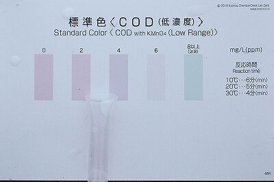 ④COD調査