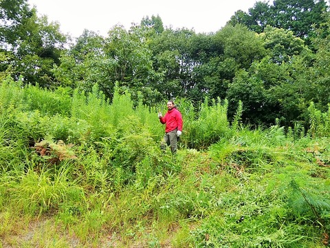 IMG_20210821_104729 (2)