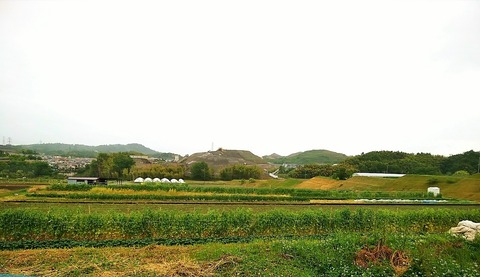 96791605_2671447246465352_2652485005015515136_o