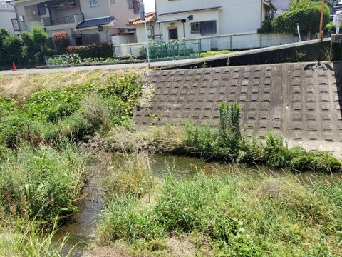 竹田川2