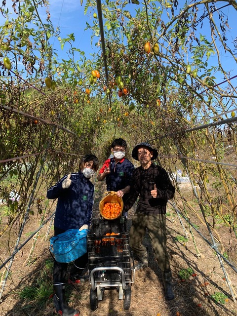 315949266_530041345801945_7814464507949901902_n