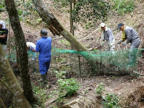 64548882_2311654622247253_2868975073543323648_n