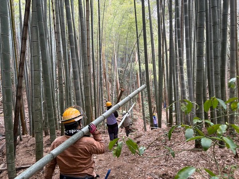 LINE_ALBUM_20250315穂谷宮之浦_250315_23
