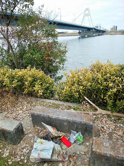 IMG_20220122_100126