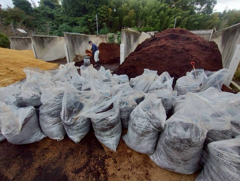 LINE_ALBUM_20251019_251019_12