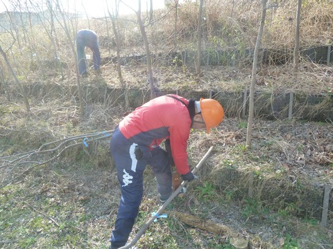 84083756_1074906366176009_1676090457320325120_o