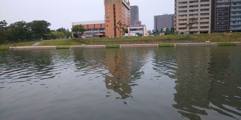 190602 岡崎市乙川河川緑地(正面)DSC_0122-1