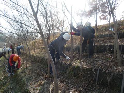 84539911_1074906266176019_6634830260128972800_o