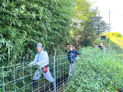 296386387_5236338649806764_63584881892441904_n