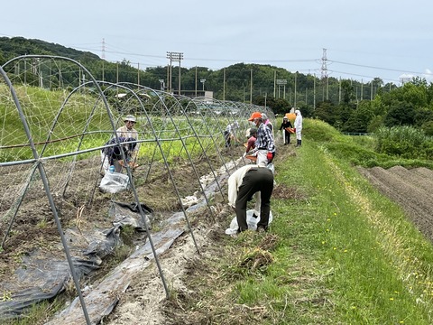 1B59062A-3B19-4182-AE0A-BFE5F13E8C26