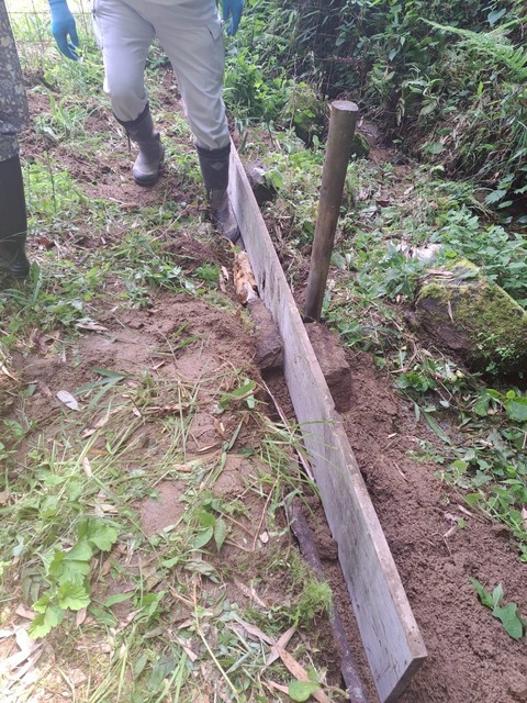 LINE_ALBUM_2025621_250621_10