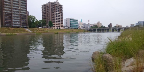 190602 岡崎市乙川河川緑地(上流側)DSC_0121-1