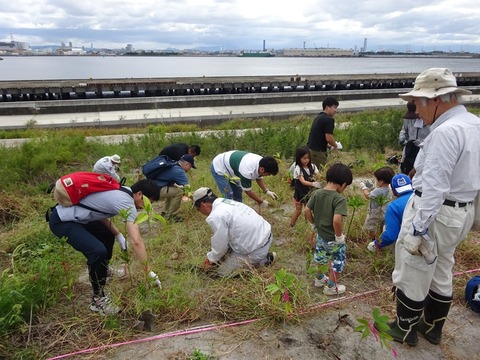 71550867_2529782620434022_7495887592848621568_n