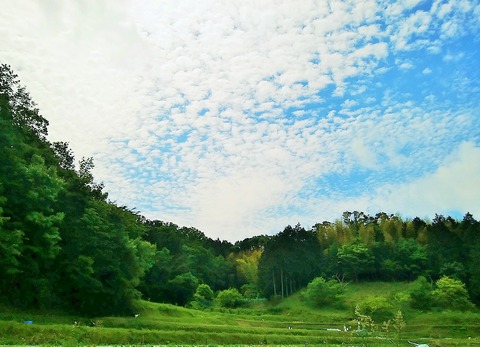 IMG_20210515_100503 (2)