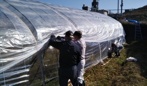 穂の会 （５）シートの固定作業