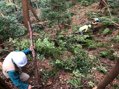 324471705_734030651485083_985699222826815308_n