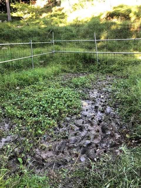 242584316_3123902231268327_1107399147130236433_n