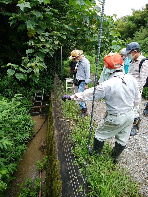 110147526_2733441463599263_1850407283498313556_o