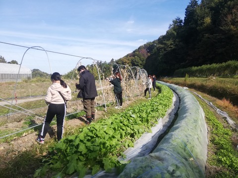 IMG_20211106_094930_YrkVet