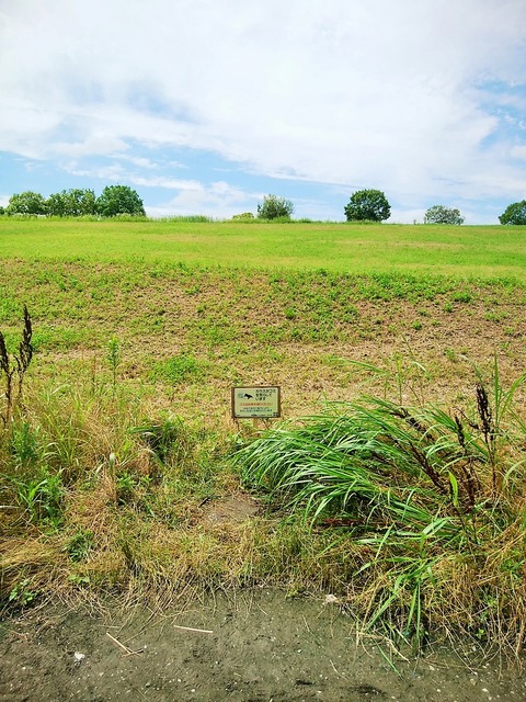 IMG_20210620_103622